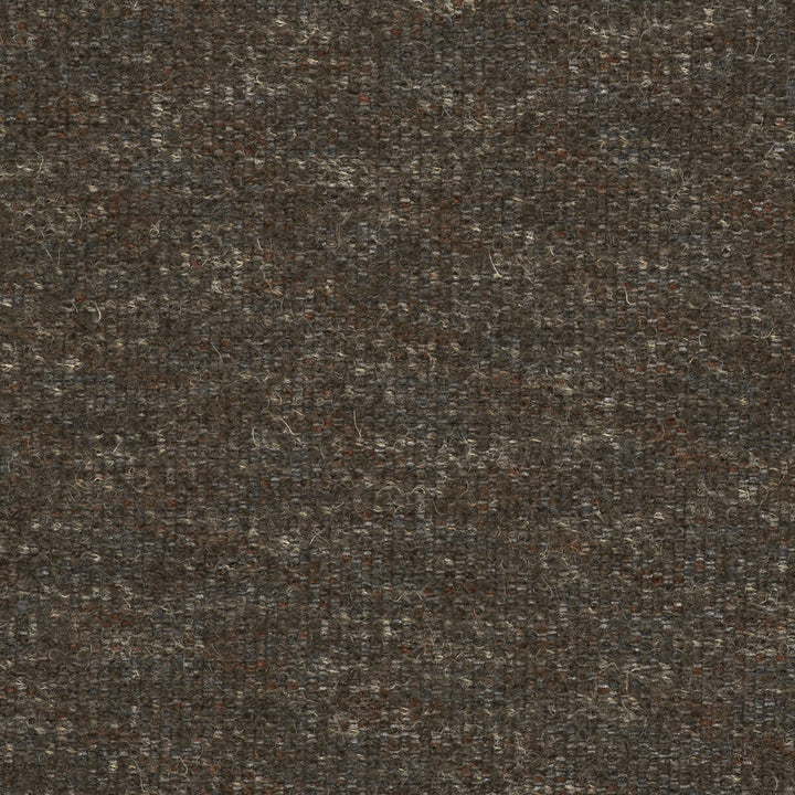 Favila Marron by Gaston Y Daniela Designer Fabric LORENZO CASTILLO V POLYESTER - 29%;COTTON - 23%;ACRYLIC - 16%;VISCOSE - 13%;POLYAMIDE - 12%;WOOL - 7% Italy HEAVY Horizontal: 0 and Vertical: 0 56 - Swanky Fabrics -