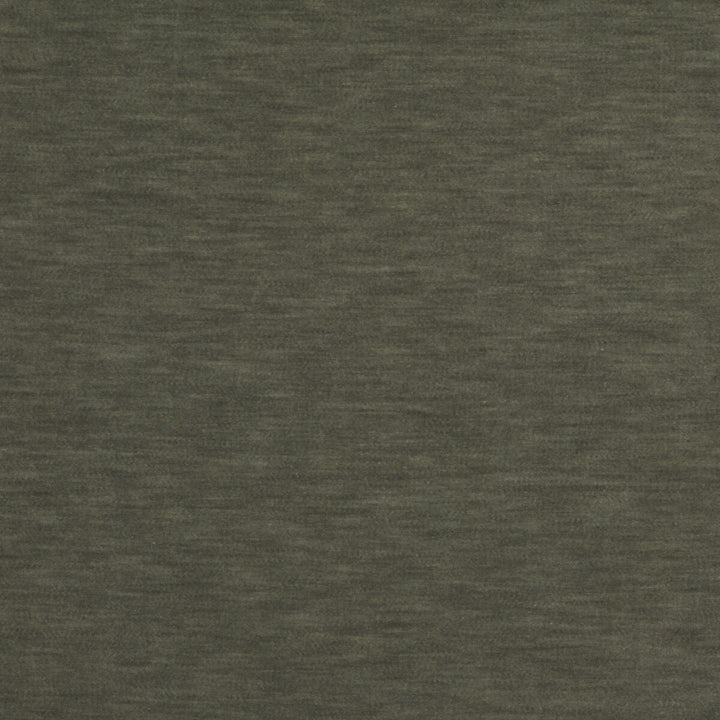 Meres Gris by Gaston Y Daniela Designer Fabric LORENZO CASTILLO V TREVIRA - 100% Italy HEAVY Horizontal: 0 and Vertical: 0 55.1 - Swanky Fabrics -