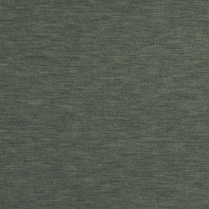 Meres Acero by Gaston Y Daniela Designer Fabric LORENZO CASTILLO V TREVIRA - 100% Italy HEAVY Horizontal: 0 and Vertical: 0 55.1 - Swanky Fabrics -