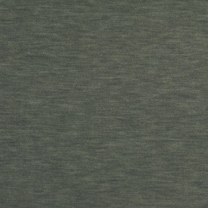 Meres Acero by Gaston Y Daniela Designer Fabric