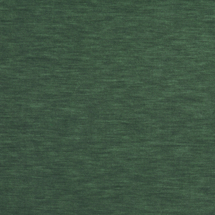Meres Agua by Gaston Y Daniela Designer Fabric LORENZO CASTILLO V TREVIRA - 100% Italy HEAVY Horizontal: 0 and Vertical: 0 55.1 - Swanky Fabrics -