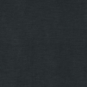 Meres Plomo by Gaston Y Daniela Designer Fabric