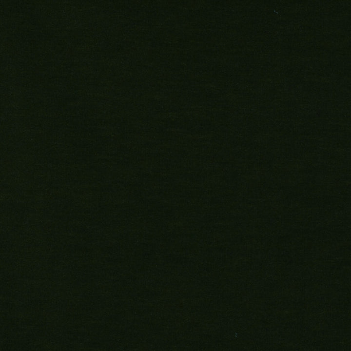 Meres Verde Botella by Gaston Y Daniela Designer Fabric LORENZO CASTILLO V TREVIRA - 100% Italy HEAVY Horizontal: 0 and Vertical: 0 55.1 - Swanky Fabrics -