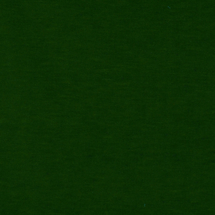 Meres Verde by Gaston Y Daniela Designer Fabric LORENZO CASTILLO V TREVIRA - 100% Italy HEAVY Horizontal: 0 and Vertical: 0 55.1 - Swanky Fabrics -