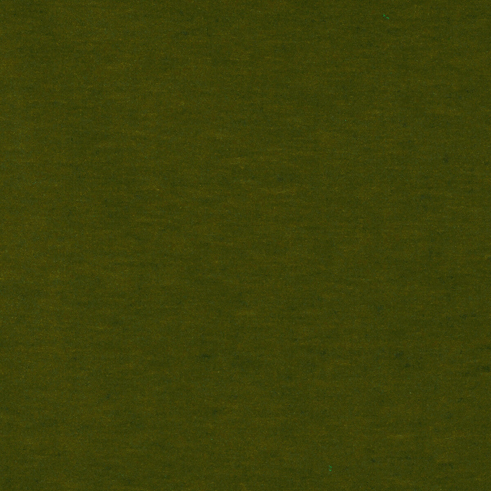 Meres Verde Claro by Gaston Y Daniela Designer Fabric LORENZO CASTILLO V TREVIRA - 100% Italy HEAVY Horizontal: 0 and Vertical: 0 55.1 - Swanky Fabrics -