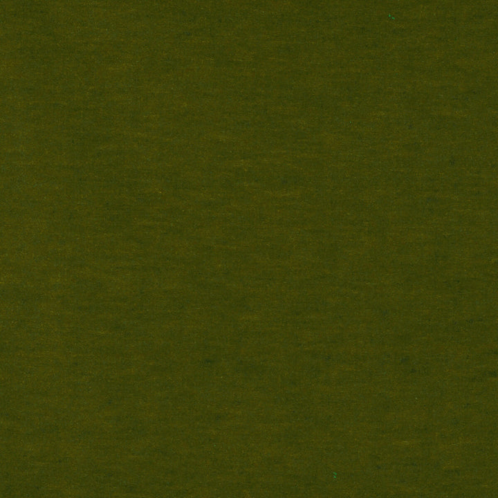 Meres Verde Claro by Gaston Y Daniela Designer Fabric LORENZO CASTILLO V TREVIRA - 100% Italy HEAVY Horizontal: 0 and Vertical: 0 55.1 - Swanky Fabrics -