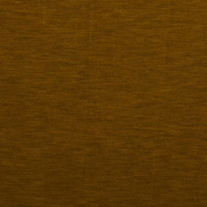 Meres Mostaza by Gaston Y Daniela Designer Fabric LORENZO CASTILLO V TREVIRA - 100% Italy HEAVY Horizontal: 0 and Vertical: 0 55.1 - Swanky Fabrics -