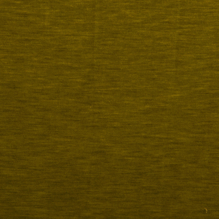 Meres Aceite by Gaston Y Daniela Designer Fabric LORENZO CASTILLO V TREVIRA - 100% Italy HEAVY Horizontal: 0 and Vertical: 0 55.1 - Swanky Fabrics -