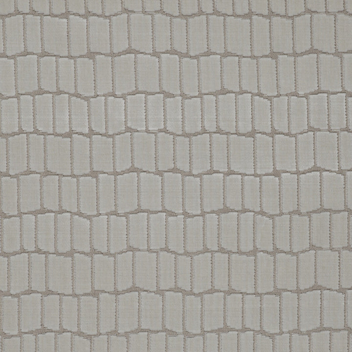 Maximo Blanco by Gaston Y Daniela Designer Fabric LORENZO CASTILLO V VISCOSE - 75%;POLYESTER - 25% Belgium HEAVY Horizontal: 6.89 and Vertical: 4.84 54.33 - Swanky Fabrics -