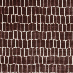 Maximo Rosa by Gaston Y Daniela Designer Fabric