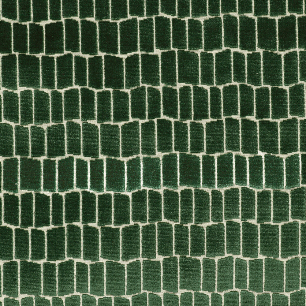 Maximo Verde by Gaston Y Daniela Designer Fabric LORENZO CASTILLO V VISCOSE - 75%;POLYESTER - 25% Belgium HEAVY Horizontal: 6.89 and Vertical: 4.84 54.33 - Swanky Fabrics -