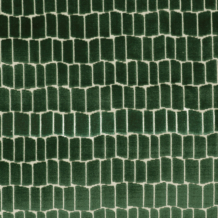 Maximo Verde by Gaston Y Daniela Designer Fabric LORENZO CASTILLO V VISCOSE - 75%;POLYESTER - 25% Belgium HEAVY Horizontal: 6.89 and Vertical: 4.84 54.33 - Swanky Fabrics -