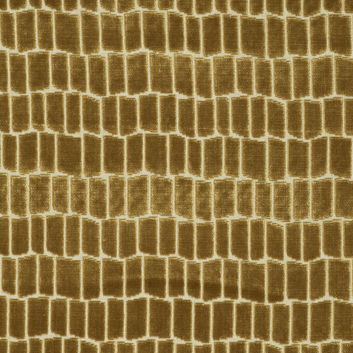 Maximo Oro by Gaston Y Daniela Designer Fabric LORENZO CASTILLO V VISCOSE - 75%;POLYESTER - 25% Belgium HEAVY Horizontal: 6.89 and Vertical: 4.84 54.33 - Swanky Fabrics -