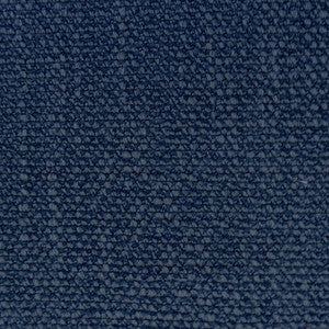 Hugo Navy by Gaston Y Daniela Designer Fabric