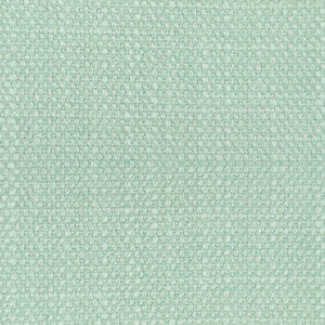 Hugo Verde Agua by Gaston Y Daniela Designer Fabric