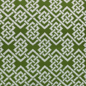 Ephraim Verde by Gaston Y Daniela Designer Fabric