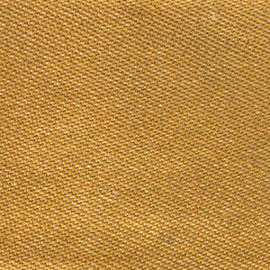 Max Amarillo by Gaston Y Daniela Designer Fabric