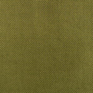 Dobra Aceituna by Gaston Y Daniela Designer Fabric