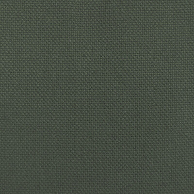 LCT1075.025.0 by Gaston Y Daniela Fabric Gaston Y Daniela Fabric LCT1075.025.0Fabric LORENZO CASTILLO VII THE RECTORY LINEN - 100% Turkey </p><p>Repeat: H: 0, V: 0 55 - Fabric Carolina -