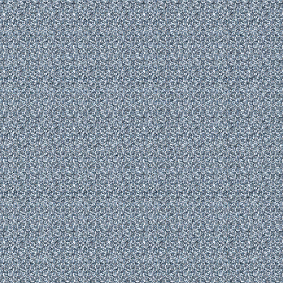 Sobresaliente - Azul/Claro LCT1138.008.0 by Gaston Y Daniela Designer Fabric