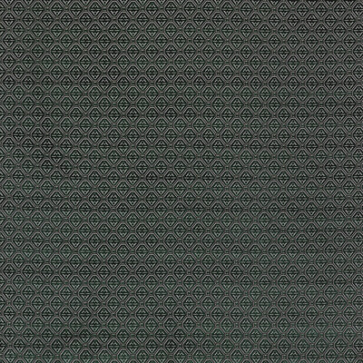 LCT5358.003.0 by Gaston Y Daniela Fabric Gaston Y Daniela Fabric LCT5358.003.0Fabric LORENZO CASTILLO III VISCOSE - 67%;POLYESTER - 33% Belgium </p><p>Repeat: H: 2.75, V: 3 55 - Fabric Carolina -