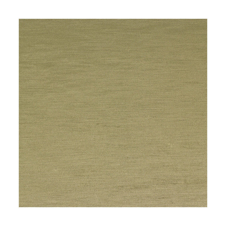 Santianes Musgo by Gaston Y Daniela Designer Fabric LORENZO CASTILLO III COTTON - 50%;VISCOSE - 50% Turkey HEAVY Horizontal: 0 and Vertical: 0 55 - Swanky Fabrics -