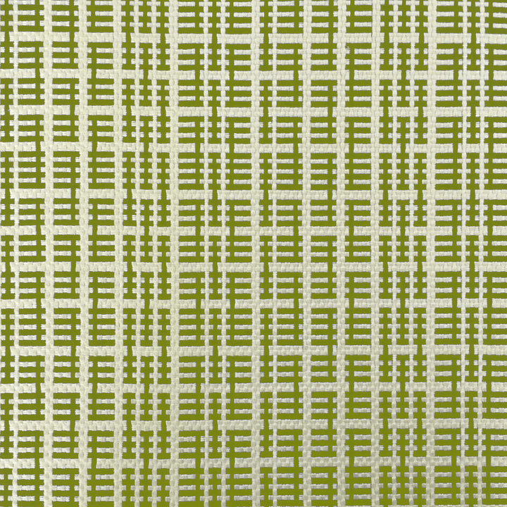 Tiana Verde by Gaston Y Daniela Designer Fabric LORENZO CASTILLO IV VISCOSE - 66%;COTTON - 18%;POLYESTER - 16% Italy HEAVY Horizontal: 5.32 and Vertical: 2.95 55 - Swanky Fabrics -