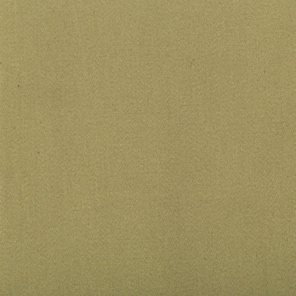 Manzanares Kaki by Gaston Y Daniela Designer Fabric LORENZO CASTILLO IV COTTON - 100% India HEAVY Horizontal: and Vertical: 55 - Swanky Fabrics -