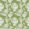 Chitina Verde by Gaston Y Daniela Designer Fabric