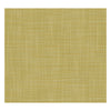 Mahon Lima by Gaston Y Daniela Designer Wallcovering