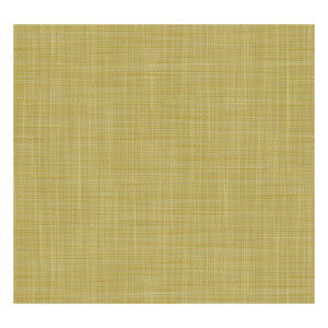 Mahon Lima by Gaston Y Daniela Designer Wallcovering