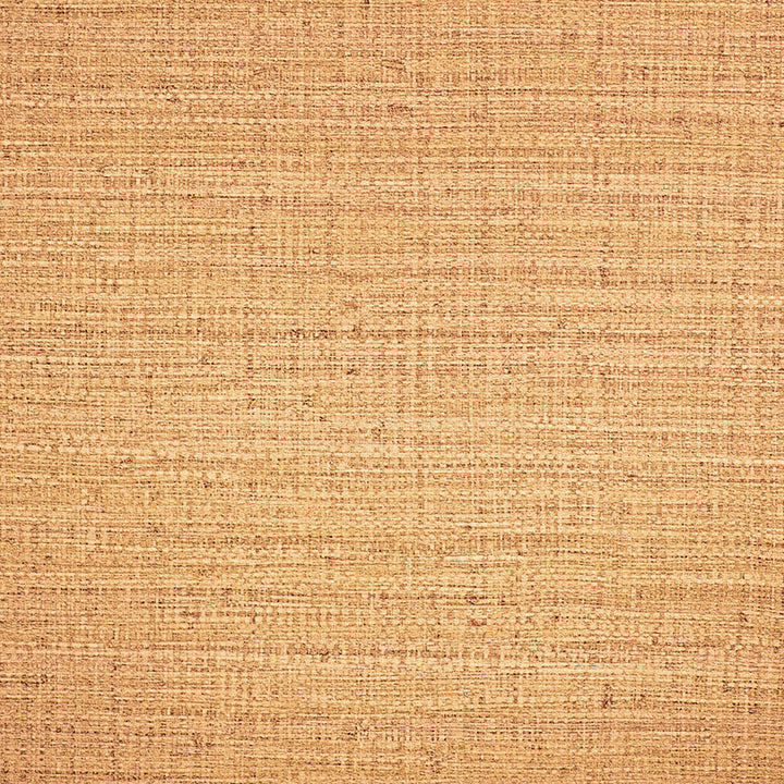Ayllon Paja by Gaston Y Daniela Designer Wallcovering LORENZO CASTILLO IV PVC COMPOUND - 100% Italy - Horizontal: - and Vertical: 25.22 51 - Swanky Fabrics -