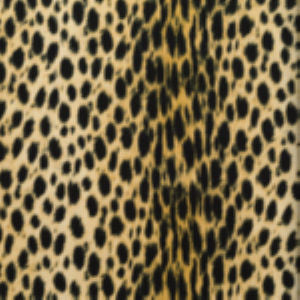 Leech Sand 02 by Norbar Designer Fabric
