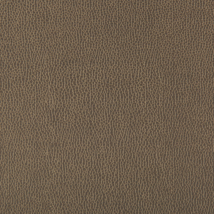 Lenox Elephant by Kravet Contract Fabric Kravet Contract Fabric Lenox ElephantFabric SILICONE - 100% China </p><p>Repeat: H: 0, V: 0 55 - Fabric Carolina -