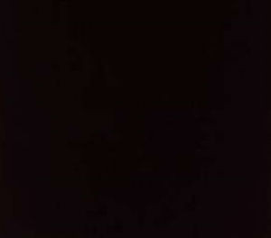 Lenox Black by Norbar Designer Fabric 100% COMBED COTTON INDIA 54 - Swanky Fabrics -