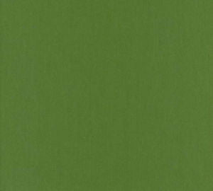 Lenox Kelly by Norbar Designer Fabric