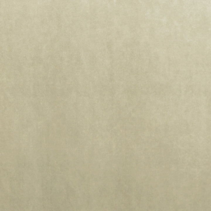 Letino 35 Oatmeal by Marcus William Designer Fabric KAI/MARCUS WILLIAM LETINO 100%POL ITALY Horizontal: 0.000 and Vertical: 0.000 55 in - Swanky Fabrics -