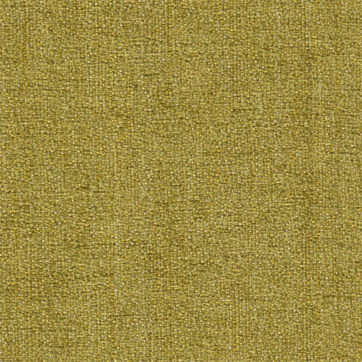 Lexington Keylime by Europatex Designer Fabric Lexington 100% Polyester 0.00" 55.00 inches - Swanky Fabrics -