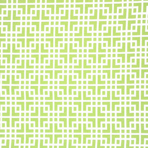 Login # 370 Kiwi by Maxwell Designer Fabric