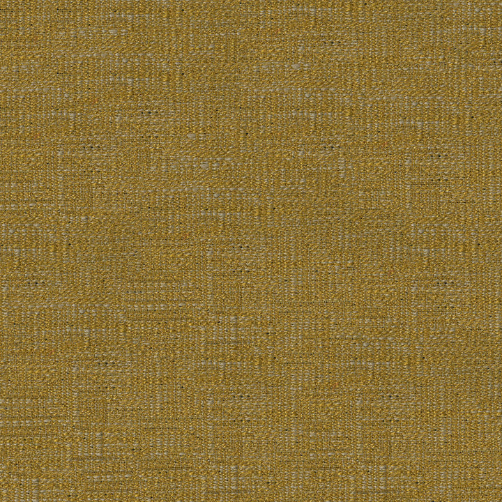 Boz by ABBEYSHEA Designer Fabric N/A 55% Polyester, 45% Rayon China 25,000 Double Rubs </p><p>Repeat: Horizontal: 14.6" (37.0 cm) Across the Roll and Vertical: 19.8" (50.2 cm) Up the Roll 55" (140 cm) - Swanky Fabrics -