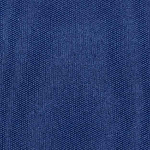 LINUS 67J6031 by JF Designer Fabric LINUS 100% Polyester CHINA ABRASIO (HEAVY DUTY- 30,000+ DOUBLE RUBS) Horizontal: N/A and Vertical: N/A 58.00 - Swanky Fabrics -