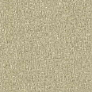 Litestar Sand by Kravet Design Designer Fabric