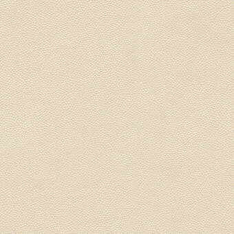 Litestar-1 by Kravet Design Designer Fabric - NYLON - 100% United States HEAVY Horizontal: 0 and Vertical: 0 54 - Swanky Fabrics -