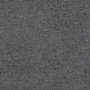 Litestar Iron by Kravet Design Designer Fabric