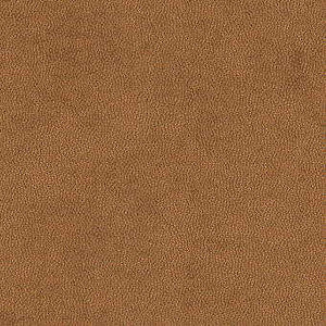 Litestar Copper by Kravet Design Designer Fabric