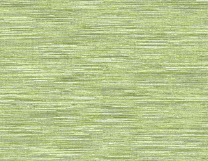Tiger Island Faux Sisal Meadow LN40404 by Lillian August Designer Wallpaper