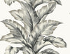 Banana Springs Greystone LN40600 by Lillian August Designer Wallpaper