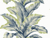 Banana Springs Deep Sea LN40602 by Lillian August Designer Wallpaper