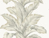 Banana Springs Fieldstone LN40607 by Lillian August Designer Wallpaper