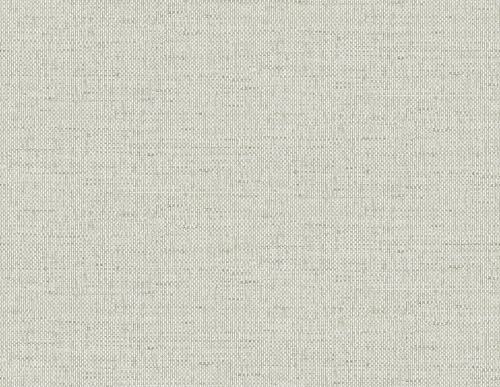 Kaya Faux Paperweave Lunar Rock LN41307 by Lillian August Designer Wallpaper